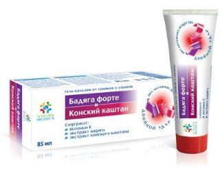 "Badyaga Forte and Horse Chestnut" Gel Balm for Bruises and Contusions 85 ml Health & Personal Care