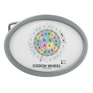 Codon Wheel (RNA Codons Amino Acids) Oval Belt Buckle