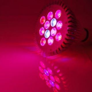 ABI Full Spectrum 12W LED Grow Light Bulb for Veg and Flower, E26 Base (Red 610 640 nm, Blue 450 470 nm)   Led Household Light Bulbs  