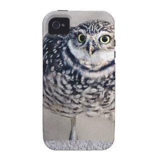 Burrowing Owls Case Mate iPhone 4 Cover