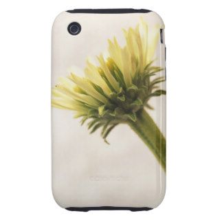 <Rudbeckia, also known as Black  or Brown Eyed Sus Tough iPhone 3 Case