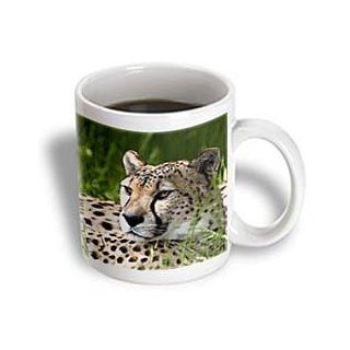 3dRose Cheetah Ceramic Mug, 11 Ounce Kitchen & Dining