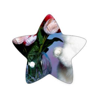 Cat Special Delivery Ragdoll Star Sticker