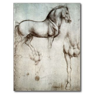 Study of horses   Leonardo da Vinci Postcards