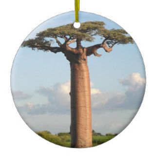 Grandidier's Baobab Madagascar Christmas Tree Ornament