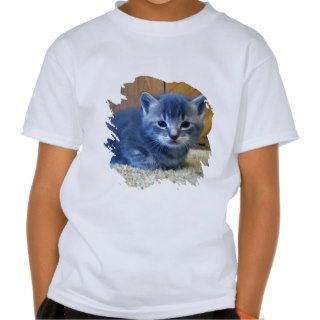 Love Me Love MY Cat T Shirt