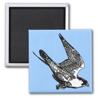 Peregrine Falcon Sketch Magnet