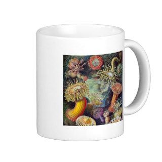 Vintage sea anemones scientific illustration coffee mug
