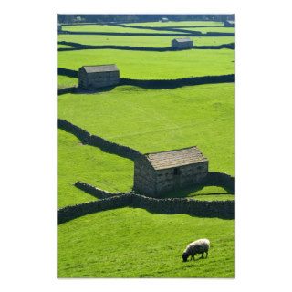Gunnerside Barns, The Yorkshire Dales Art Photo