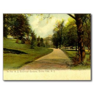 Botanical Gardens, Bronx New York 1905 vintage Post Cards