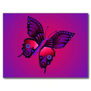 Purple and Hot Pink Butterfly Postcard