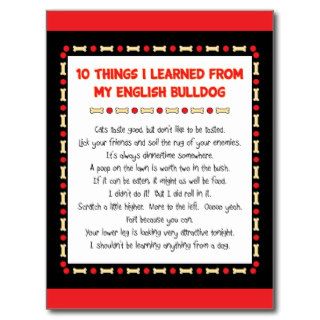 Funny Things I Learned My English Bulldog Postcards