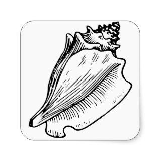 Conch Shell Sketch Square Stickers