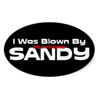 I Was Blown By Hurricane Sandy Oval Sticker