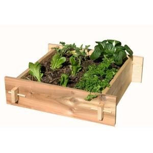 2 Ft. x 2 Ft. Shaker Style Raised Garden Box DISCONTINUED SG1 228