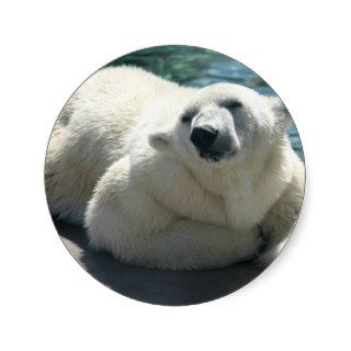 Arctic Polar Bear Stickers