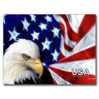 Bald Eagle   USA Flag Post Cards