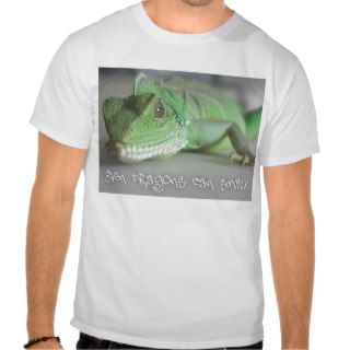 Water Dragon Smile Tee Shirts