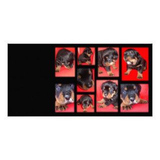 Clyde Collage   Cute Overload Photo Card Template