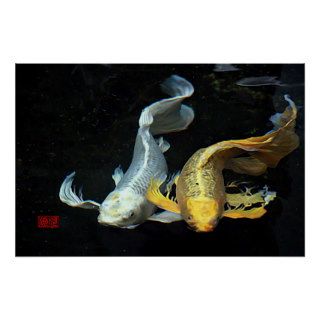 Togetherness in Love/Gold & Silver Koi Fish Posters
