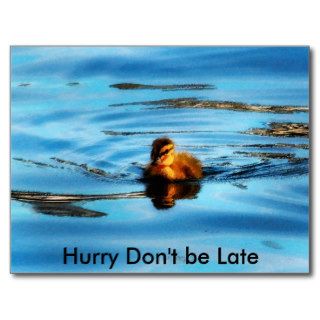 Hurry Don't be Late Postcards