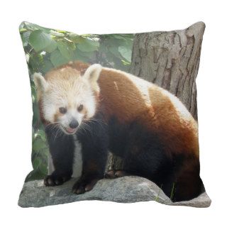 Red Panda Bear Pillow