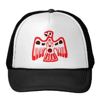 Native American Indian Eagle Thunderbird Hat