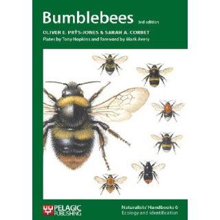 Bumblebees (Naturalists' Handbook) Oliver E. Prys Jones, Sarah A. Corbet, Anthony J. Hopkins 9781907807060 Books