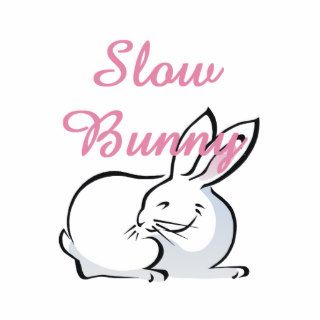 TEE Slow Bunny Photo Cutouts