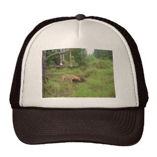 Boar Hunting Hats