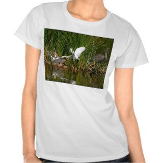 Wetlands Heron & Egrets Top T Shirt