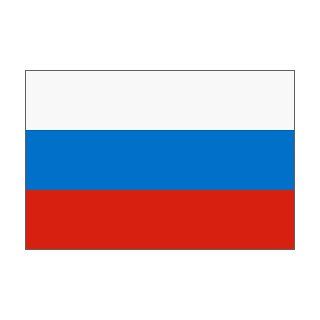 Russian Federation Flag 3 x 5 NEW Polyester 3x5 Banner  Outdoor Flags  Patio, Lawn & Garden