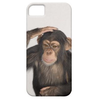 Monkey scratching its head iPhone 5 cases