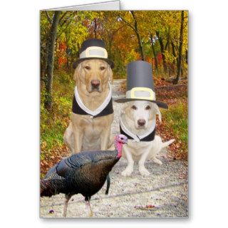 Funny Dogs/Labs Thanksgiving Cards