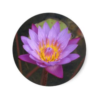 Lotus Stickers