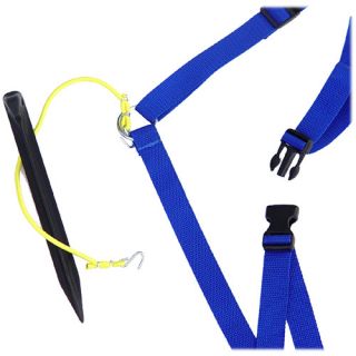Park & Sun 1 Inch Volleyball Webbing Boundary (BC WEB A)