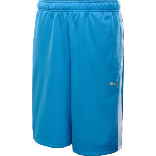 PUMA Mens Form Stripe 10 Shorts   Size Large, Blue