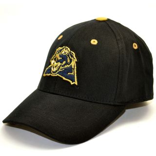 Top of the World Pittsburgh Panthers Rookie Youth One Fit Hat (ROOKPTBRG1FYTMC)