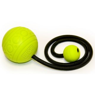 GoFit GoBall Therapeutic Massage Ball on a Rope with Therapy Poster (GF MBR)