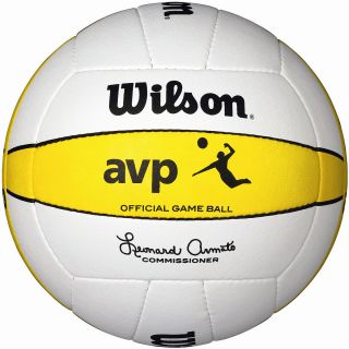 Wilson AVP Official Outdoor Volleyball Game Ball, Ink