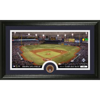 The Highland Mint Tampa Bay Rays Infield Dirt Coin Panoramic Photo Mint