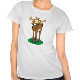 Moose Maine Shirts