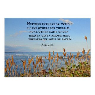 Acts 412 Neither is there salvation in any other. Print