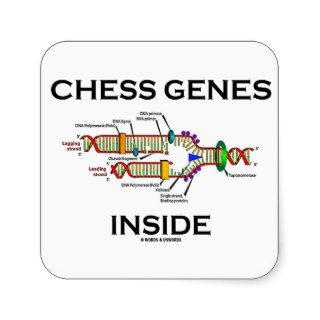 Chess Genes Inside (DNA Replication) Stickers