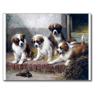 Saint Bernard puppies turtle cute painting dogs Postcard