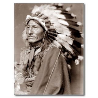 Indian Chief with Feather Head Dress Postcard