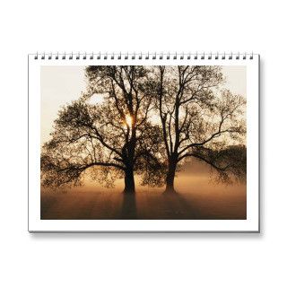 Tree Calendars