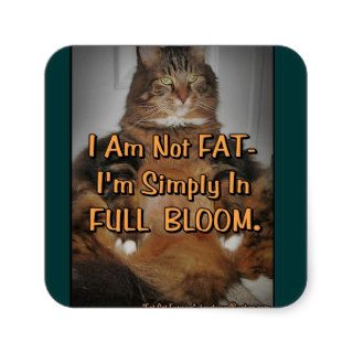 FUN Grumpy Fat Cats With LOL Captions   Label # 11 Square Stickers