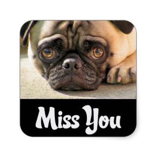 Miss You Pug Puppy Dog Greeting Stickers