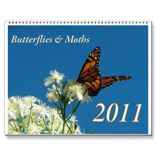 Large Butterfly & Moth Calendar